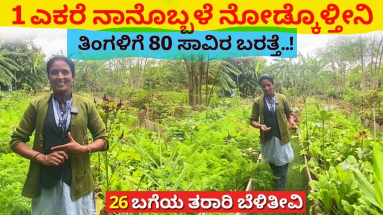 raised-bed-agriculture-karnataka