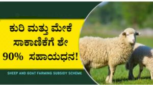 sheep-farm-subsidy