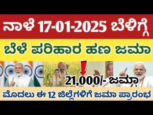 ಬೆಳೆ ಪರಿಹಾರ