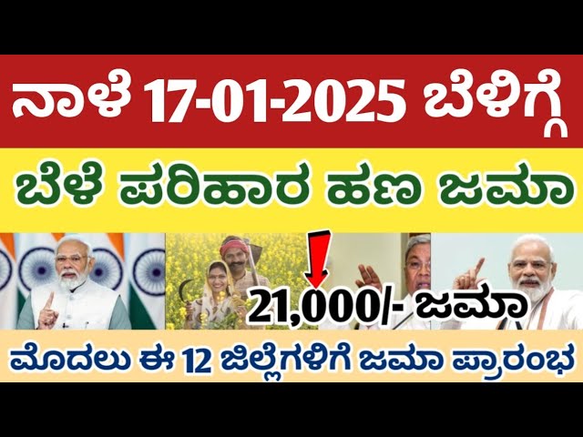 ಬೆಳೆ ಪರಿಹಾರ
