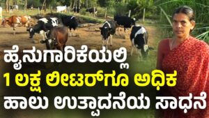 cow-dairy-farming
